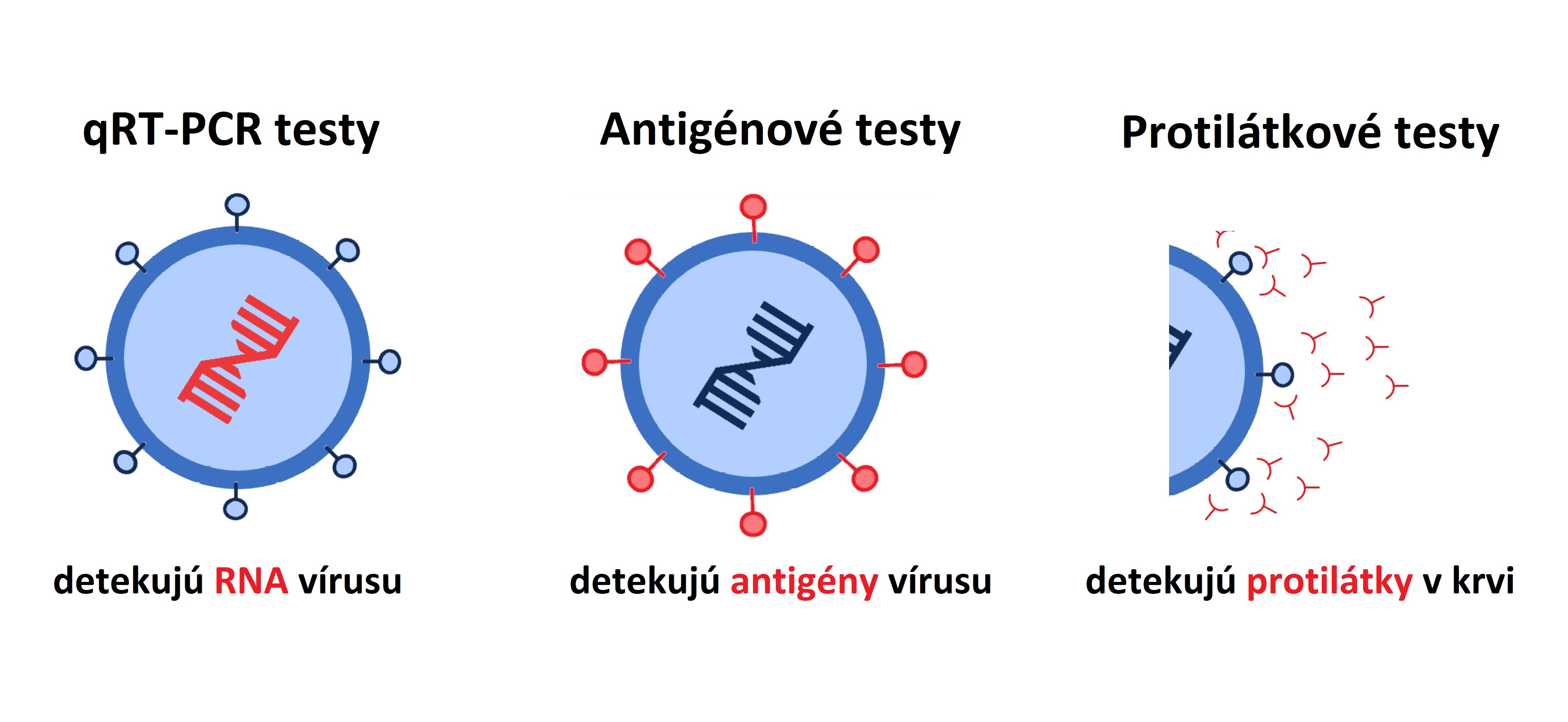 TESTY COVID-19